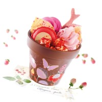 3D Термоформовани форми