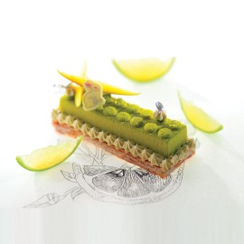 Термоформована форма "Лего"