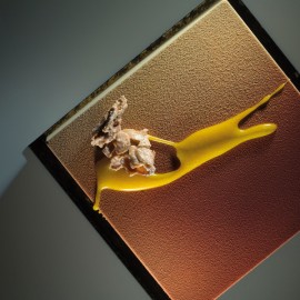 Книга "Radix" by Paco Torreblanca