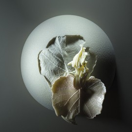 Книга "Radix" by Paco Torreblanca