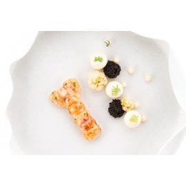 Силиконова форма "SCAMPO 20"