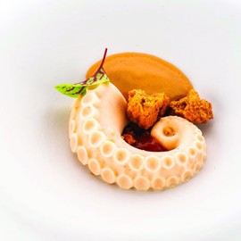 Силиконова форма "POLPO 20"