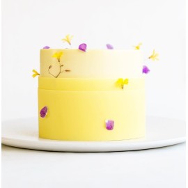 Двудневен Мастър Клас -  “Модерно сладкарство 2"- Октомври