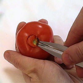 Инструмент за домати и ягоди