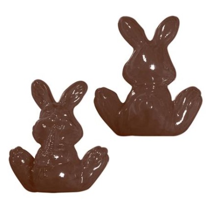 Термоформована форма "Заек - голяма стъпка"