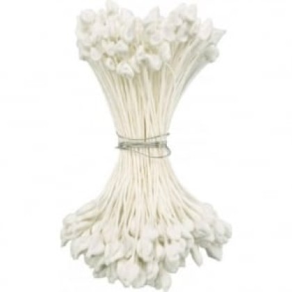 Тичинки бели капка