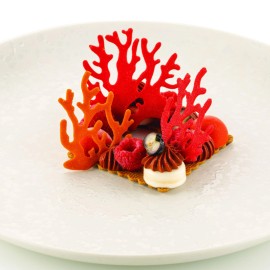 Силиконова форма "CORALLO"