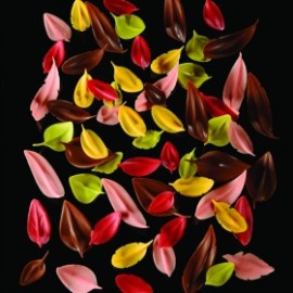 Инструмент за листо 50х36мм