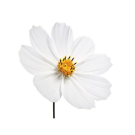 Комплект метален кутер със силиконови щампи "Космос" - 3 елемента