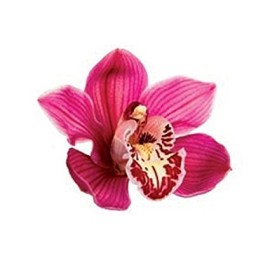 Комплект метален кутер със силиконови щампи "Орхидея" - 9 елемента