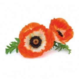 Комплект метален кутер със силиконови щампи "Мак" - 3 елемента