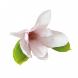 Комплект метален кутер със силиконови щампи "Магнолия" - 3 елемента