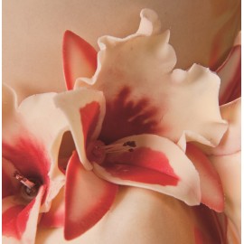 Комплект кутери "Теменужена Орхидея" - 3 елемента