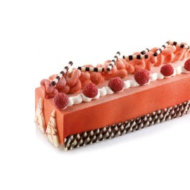 Силиконова форма "TRONCO 495x70мм"