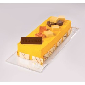 Термоформована форма "Плочка с надпис Тирамису"