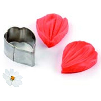 Кутер с щампа венчелистче Космос