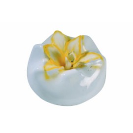 Форма за Китайска Орхидея