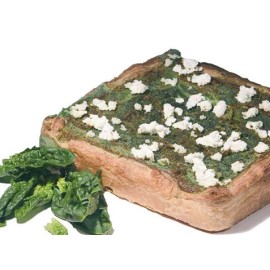 Силиконова форма квадрат - SFT306