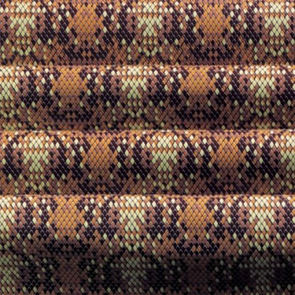 Трансферно фолио "Кралски питон"